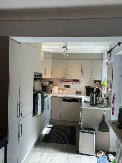 Elevated Modern Kitchen